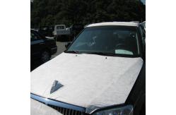 China High Scratch Resistance Windshield Rain Proof Wrap PE Protective Film For Car supplier