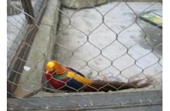 China Flex Rugged Aviary Wire Netting , Stainless Steel Wire Mesh For Bird Cages supplier