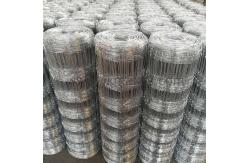 China High Tensile Field Farm Wire Fence PVC Coated With 100mm Hole supplier
