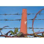 Hot-dipped Galvanized Security Barbed Wire High-Diameter Wire for Secure Boundaries for sale