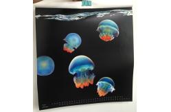 China Double Sided 3d Custom Lenticular Printing 200g White Cardboard supplier