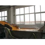 Full Automatic Fruit Processing Equipment Surfing Bubble Washing Machine
