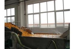 China Full Automatic Fruit Processing Equipment Surfing Bubble Washing Machine supplier