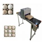 Egg Inkjet Coding Equipment / High Speed Inkjet Printer With Six 45ml Ink for sale