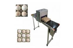 China Egg Inkjet Coding Equipment / High Speed Inkjet Printer With Six 45ml Ink supplier