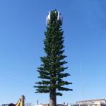 SGS artificial trees Camouflage Cell Phone Tower for sale