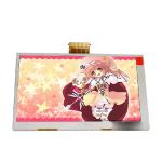 Brand new 5 inch C050FW02 V0 LCD Screen Panel for Car GPS Navigation for sale