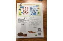China 800s IC 89 Keys 85DB Children Audio Books ICTI EMC supplier