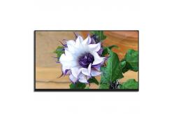 China eDP 30 Pins 13.3 LCD Screen TFT Display Module 1920*1080 supplier