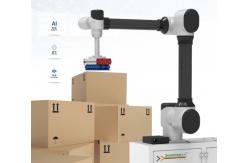 China Advanced Automated Palletizing Solutions for Manufacturing Maximum Stacking Height 2500mm supplier