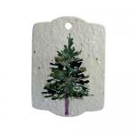 Handmade Recycled Embedded Seed Paper Eco Friendly Wood Free for sale
