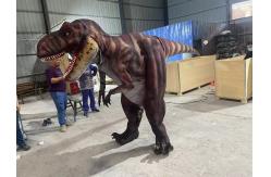 China Life Size Customization Realistic Dinosaur Costume For Playroom supplier