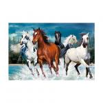 PET 50*70cm 3D Lenticular Pictures , Custom 3d Lenticular Photo With Frame