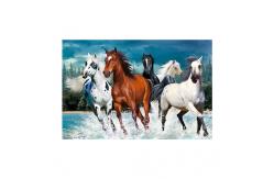 China PET 50*70cm 3D Lenticular Pictures , Custom 3d Lenticular Photo With Frame supplier