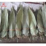 No Pollution 30cm Bamboo Dry Leaves For Sushi Food for sale