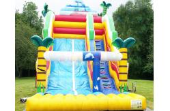 China Palm Tree Bouncy Castle Commercial Inflatable Slide For Amusement Park supplier