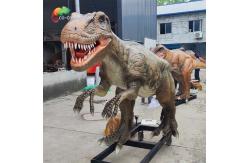 China 4Meters Life Size Animatronic Dinosaurs Sunproof Allosaurus Model For Exhibition supplier