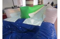 China Palm trees slope inflatable water slide 2017 China inflatable water slide with pool supplier