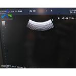Aloka UST-9123 60Mm Used Ultrasound Probe Convex Supersonic Sensor