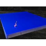 Waterproof PET 297*420 Medical Xray Blue Film for sale