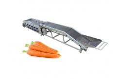 China 3t/H Electric Carrot Grading Machine Tomato Carrot Sorting Machine supplier