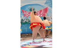 China Sumo Wresting Inflatable Amusement Park supplier
