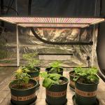 630W Samsung LM301H Osram IR Seoul UVA Quantum Board Led Grow Lights
