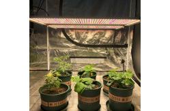 China 630W Samsung LM301H Osram IR Seoul UVA Quantum Board Led Grow Lights supplier
