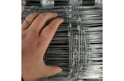China 1.5M Galvanized Cattle Panels , Metal Livestock Panels For Farm supplier
