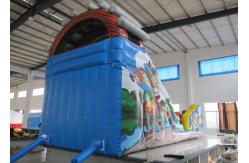 China Outdoor Roller Coaster Commercial Inflatable Water Slides High Slide Design supplier
