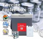 Customizable Vaccine Cooler Box ISO9001 Ice Box For Vaccine for sale