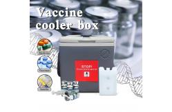 China Customizable Vaccine Cooler Box ISO9001 Ice Box For Vaccine supplier