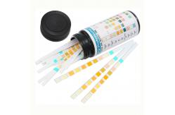 China Glucose Bilirubin 10 Parameter Reagent Test Strips urine dipstick supplier