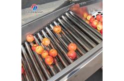 China Connected Pipeline Jujube Fruit Sorting Machine Multifunctional supplier