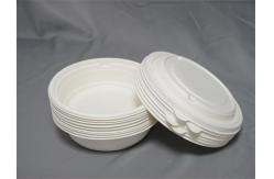 China 750ml Biodegradable Sugarcane Bowl supplier