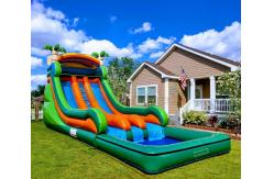 China Tarpaulin Outdoor Inflatable Water Slides Carnival Palm Tree Bounce House supplier