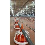 Broiler Automatic Chicken Drinkers And Feeders 220V Poultry Automation Equipment