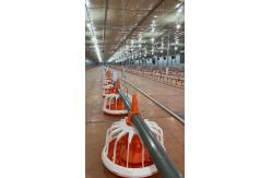 China Broiler Automatic Chicken Feeder System Using Microcontroller supplier