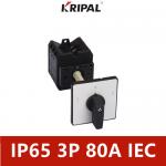 80A 3 Pole IP65 Waterproof Lever Switch For Illumination Equipments for sale
