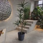 Customized Plastic Flower Pot Lightweight for Planting Seedling