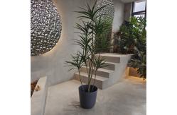 China Customized Plastic Flower Pot Lightweight for Planting Seedling supplier