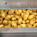 360KG Hair roller cleaning machine wavy brush Cassava cleaning machine commercial ginger peeling machine for sale