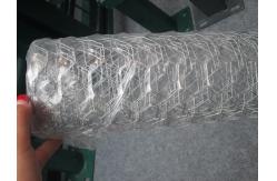 China Multi Function Chicken Fence Wire For Circular Gabion Baskets XLS-03 supplier
