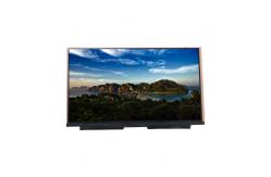 China VVX17P051J00 17.3 inch 300 cd/m2 eDP LCD Display Screen Panel supplier