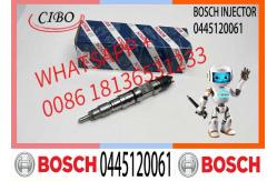 China Diesel fuel injector Common rail Injector 0445120061 Diesel engine parts 0445120061 supplier