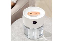 China 2L Portable Rechargeable Humidifier supplier