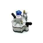 Separated Gas And Water Circuit Autogas LPG Pressure Regulator 125W for sale