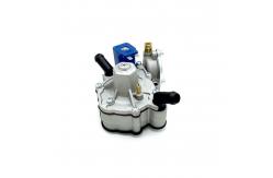 China Separated Gas And Water Circuit Autogas LPG Pressure Regulator 125W supplier
