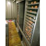 6 Tiers 108 Chickens Broiler Cage System For Little Chick for sale