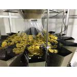 SS304 Frame Dimple Surface 2.5L Hopper Multihead Weigher For Frozen Fruit